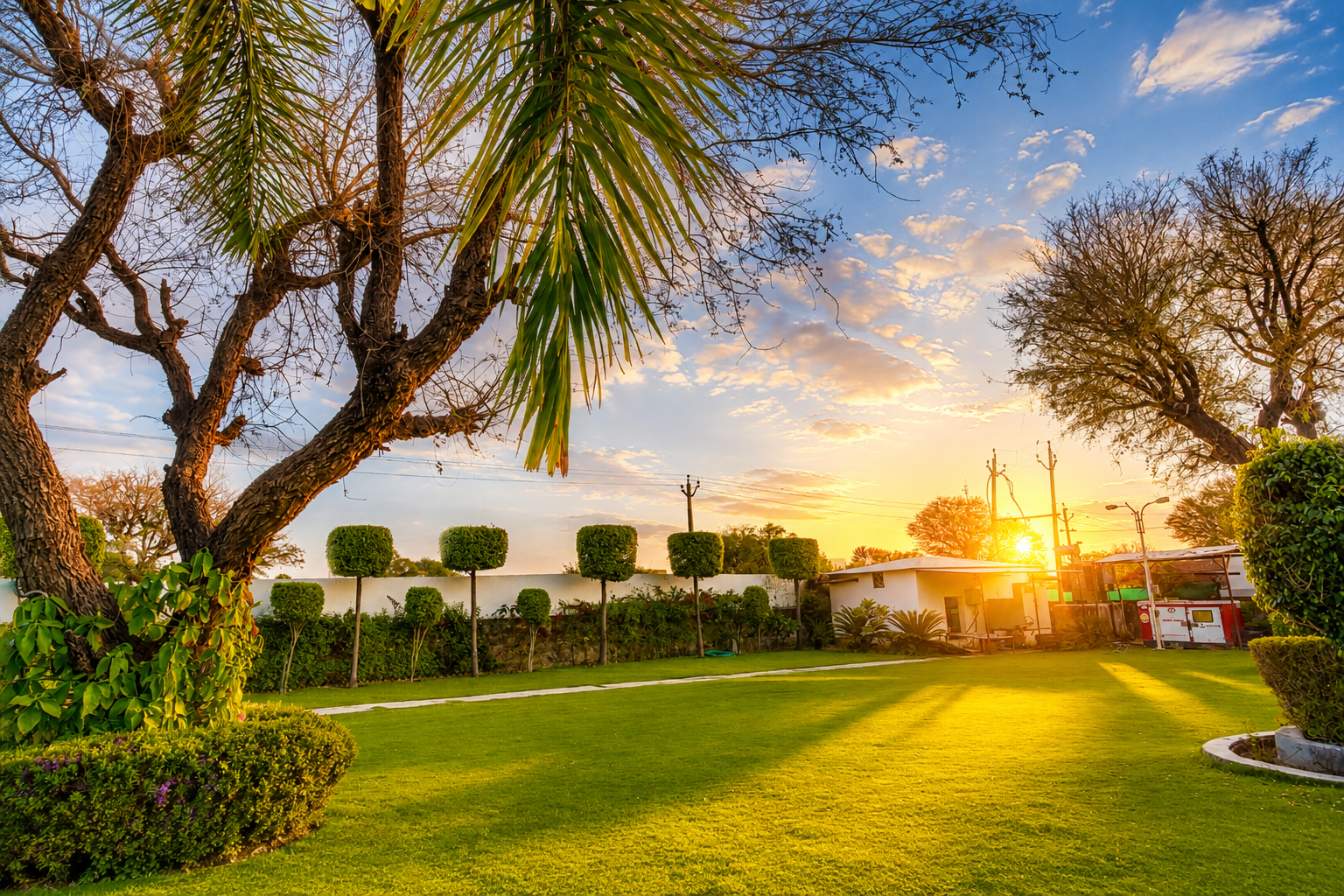 Destination Wedding Rajasthan - Sahibs Rajbagh Resort lush wedding lawn at sunset