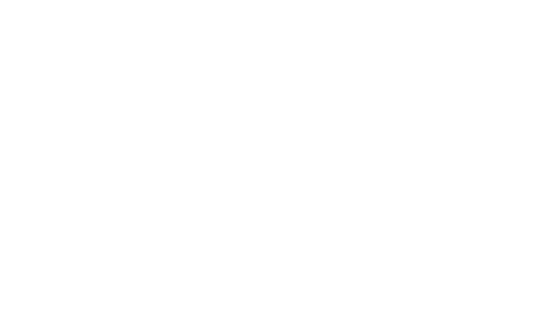 Washnet