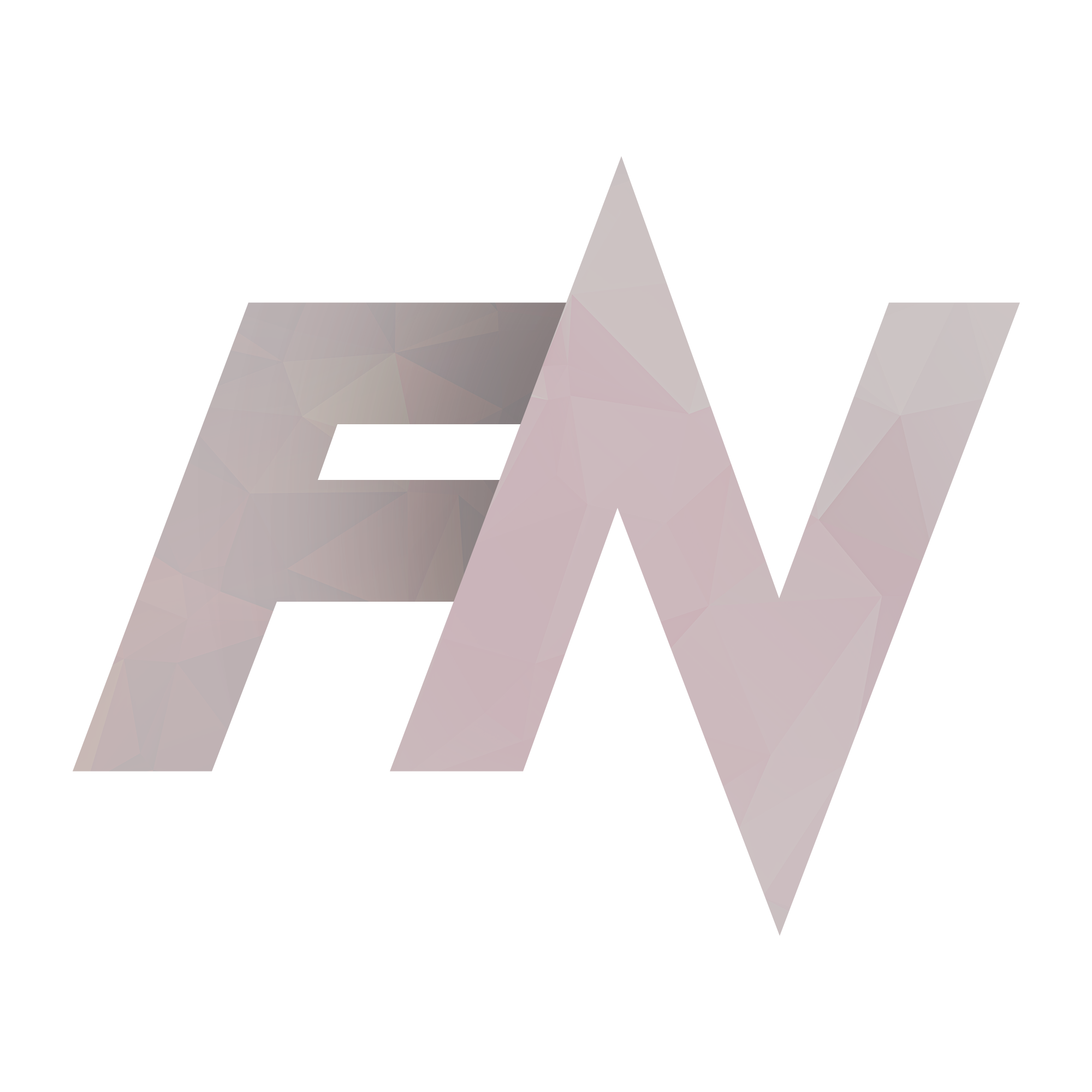 FN