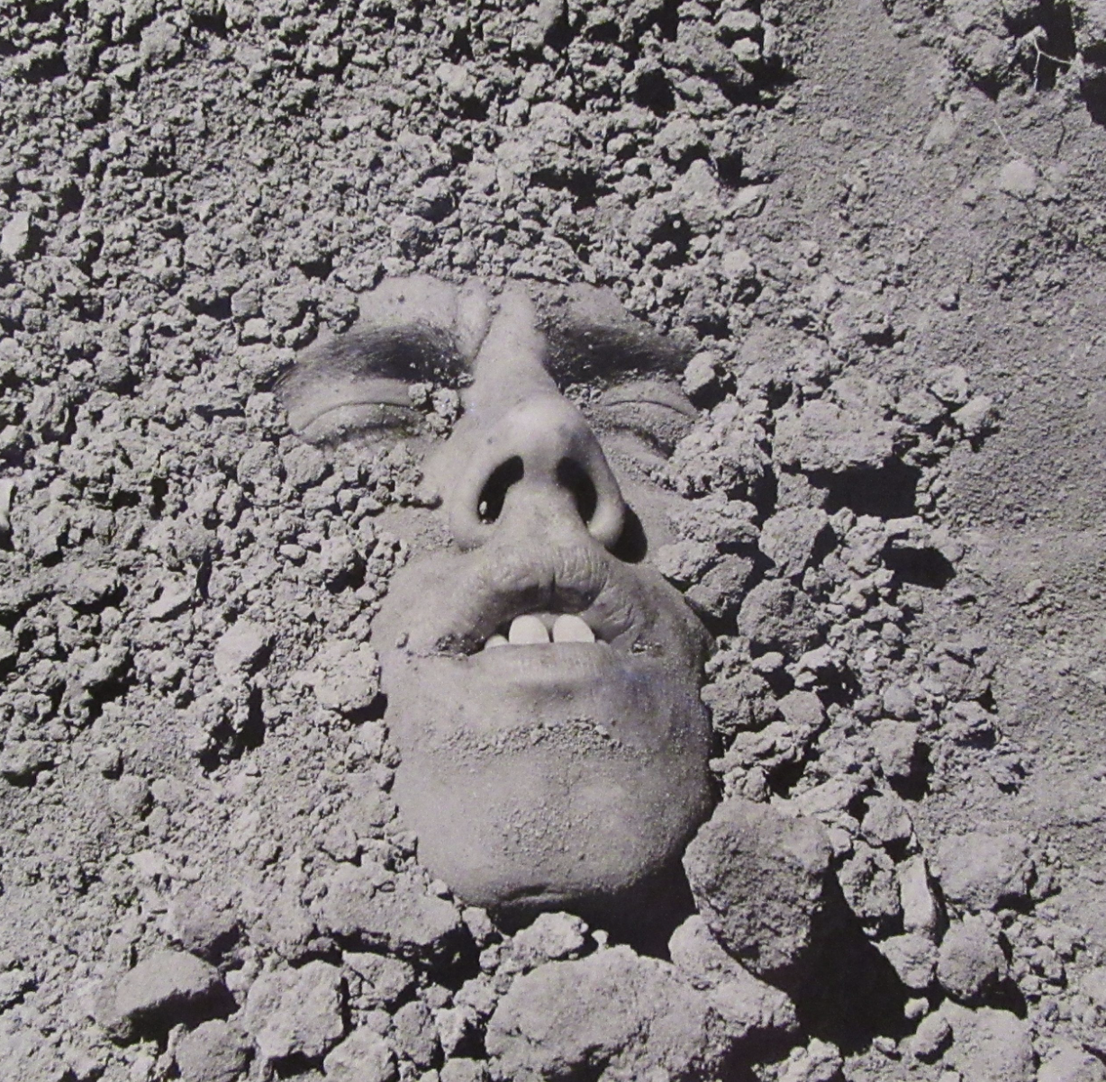 David Wojnarowicz