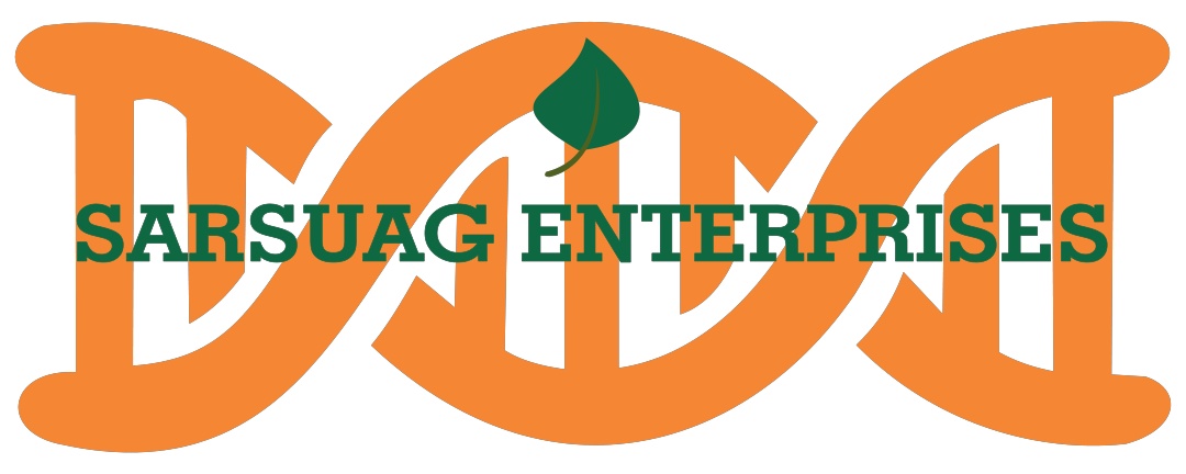 Sarsuag Enterprises logo