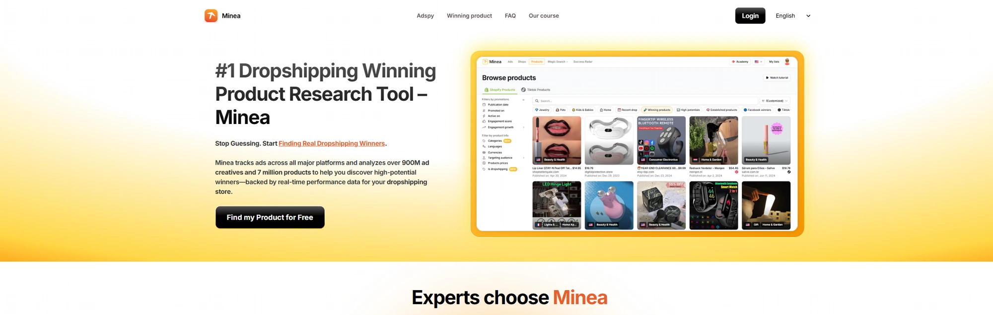 Minea product research dashboard with ad filters and a grid of winning products