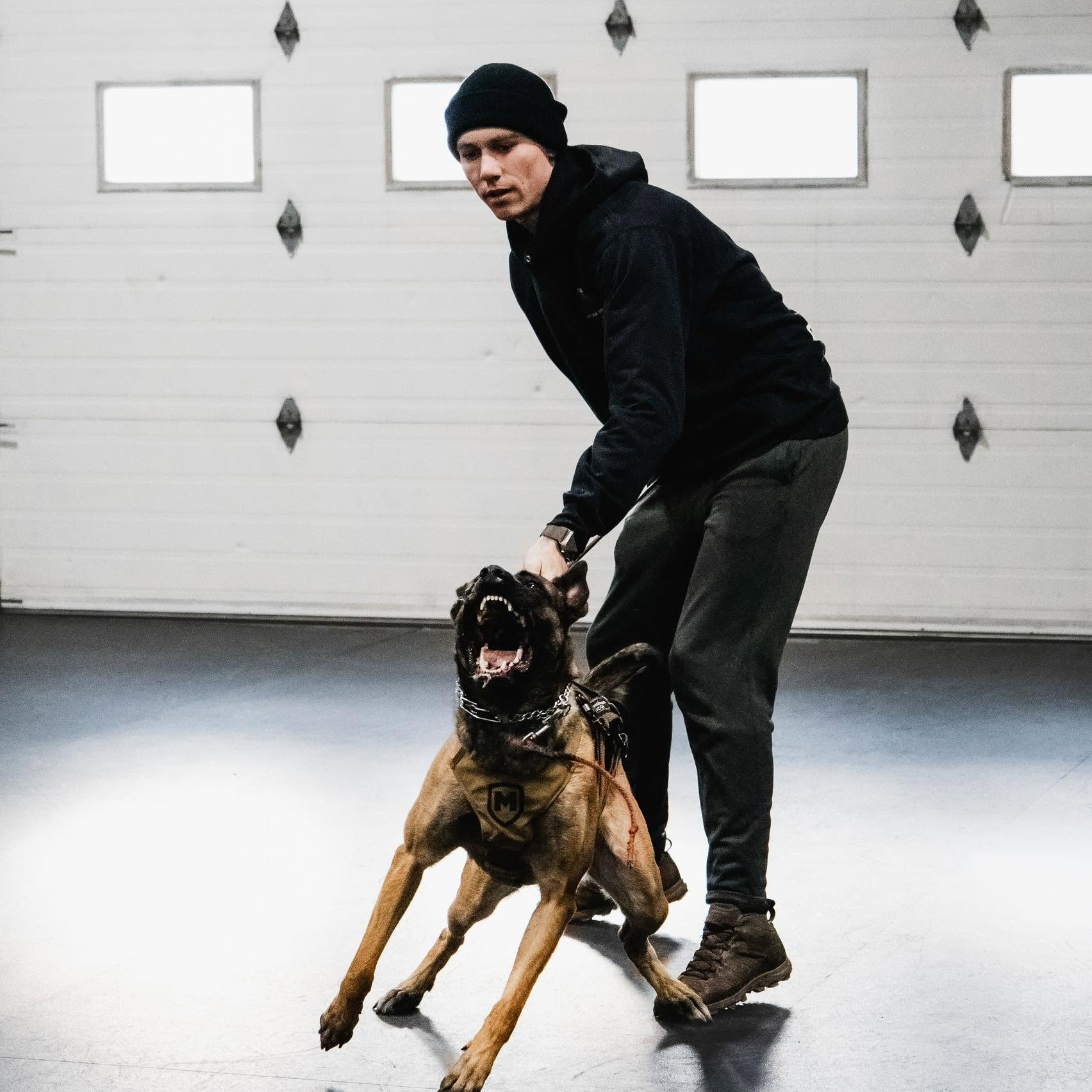Dylan Rowse training a dog at the Chinook K9 facility