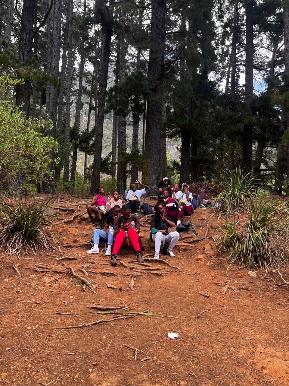Forest floor picnic