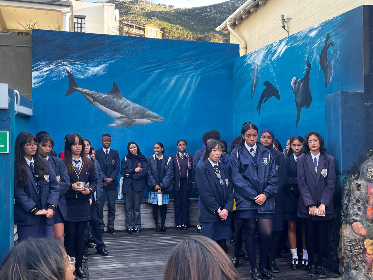 Welcome to Save Our Seas