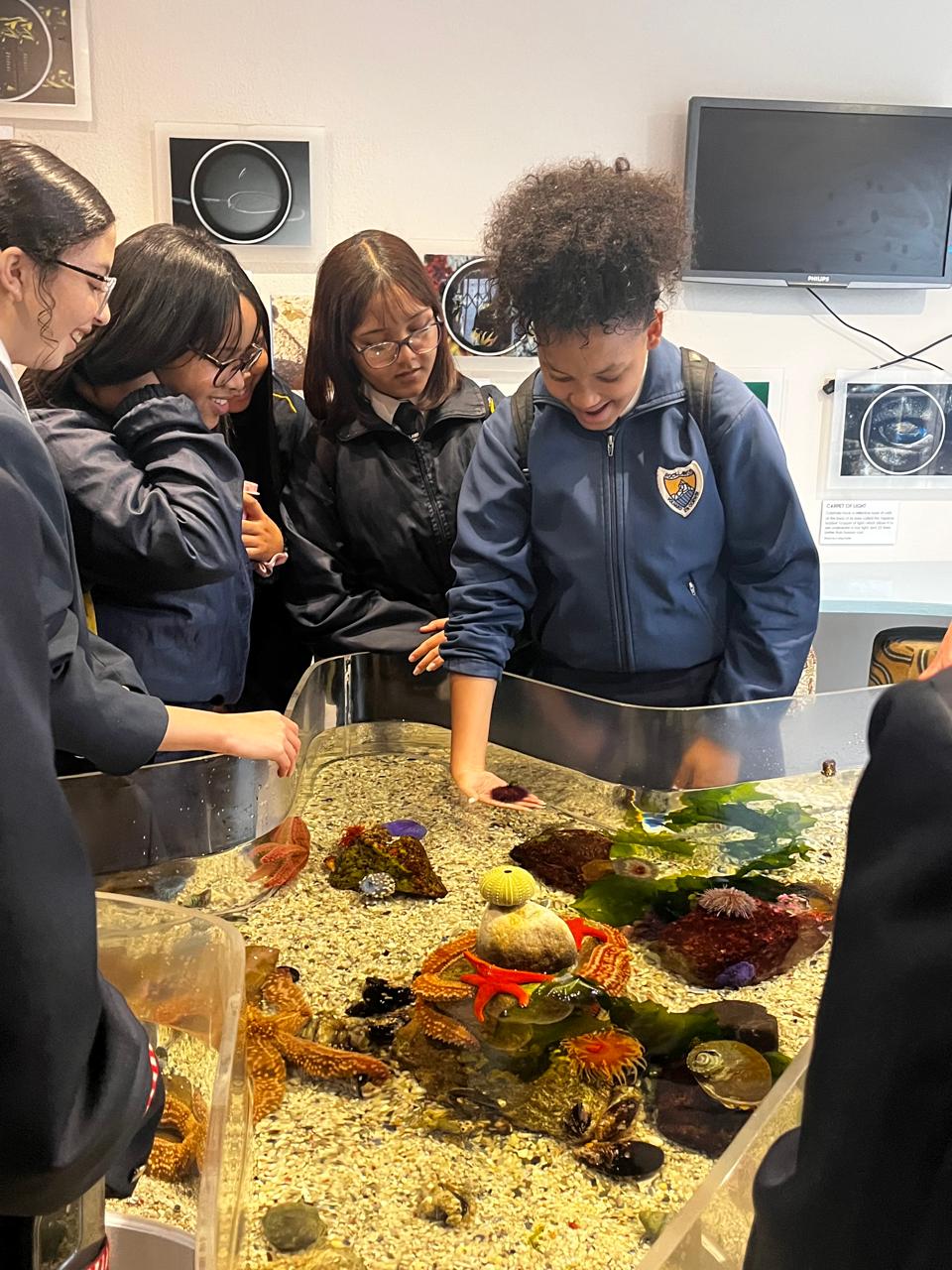 Touch tank discoveries