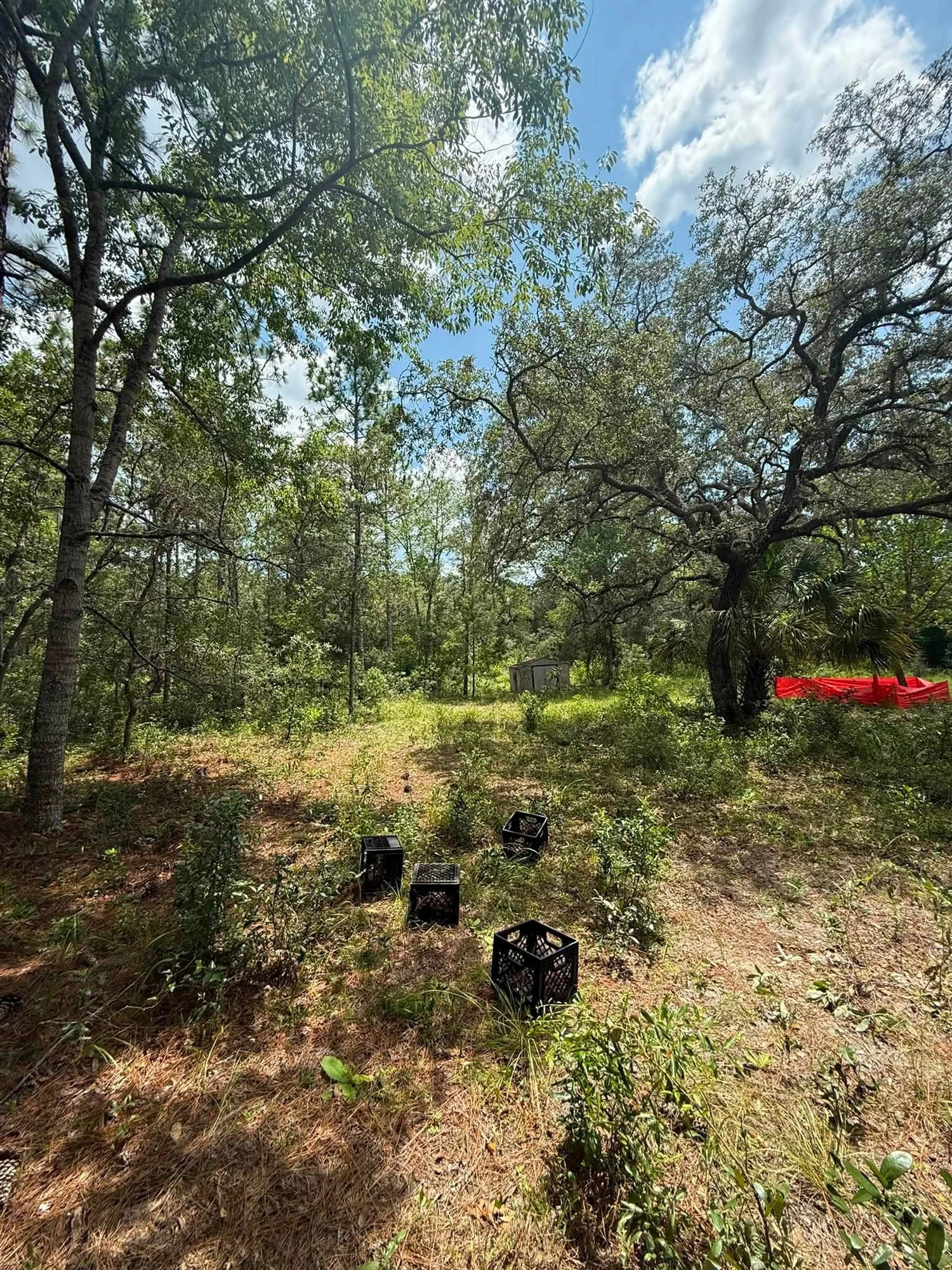 Before clearing