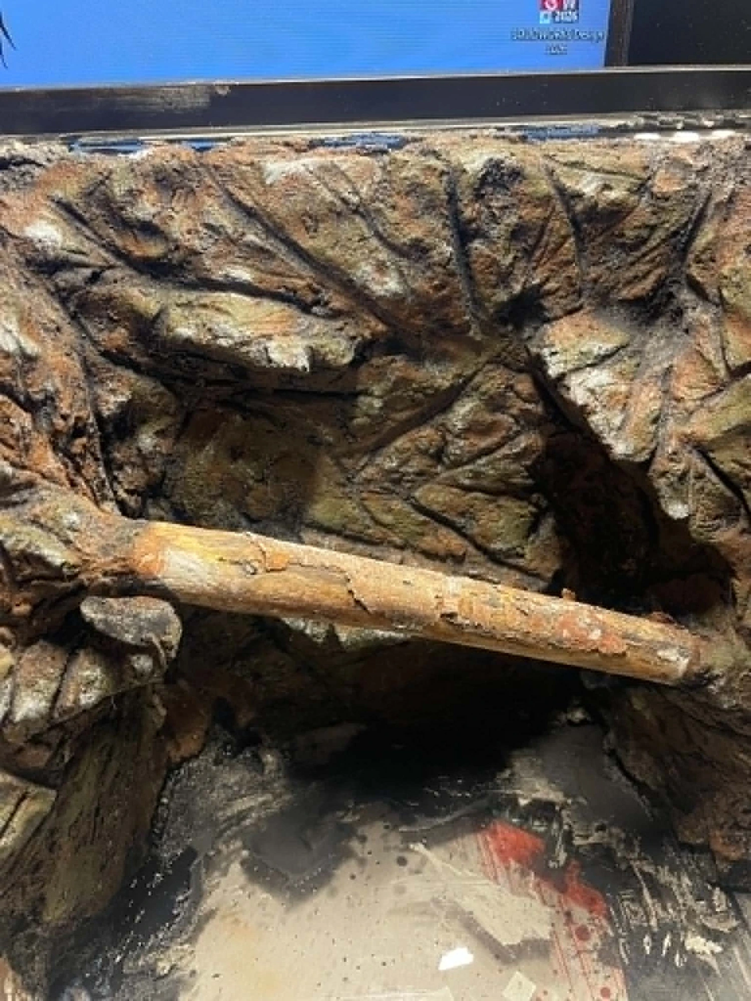 Håndbygget beton-baggrund i Exo Terra