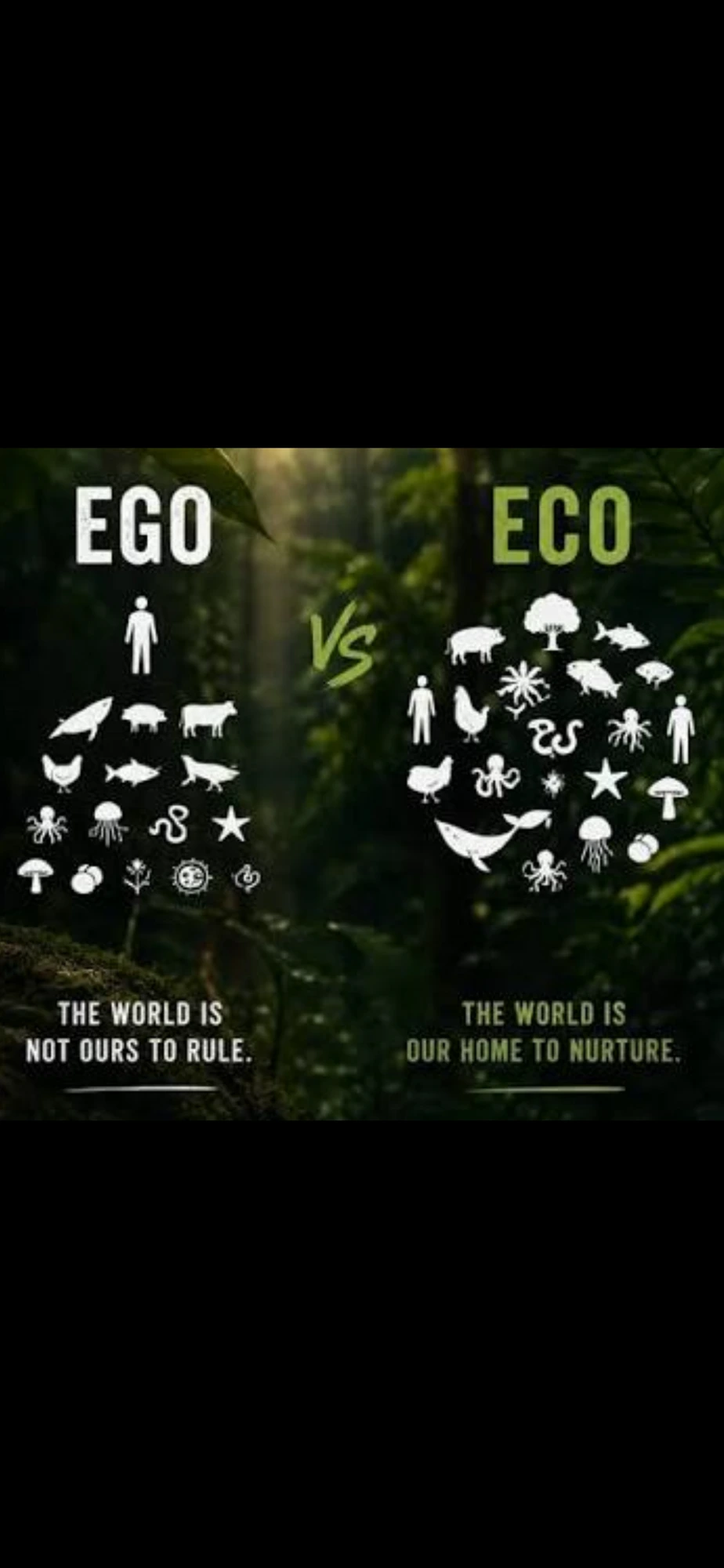 EGO vs ECO — The world is our home to nurture