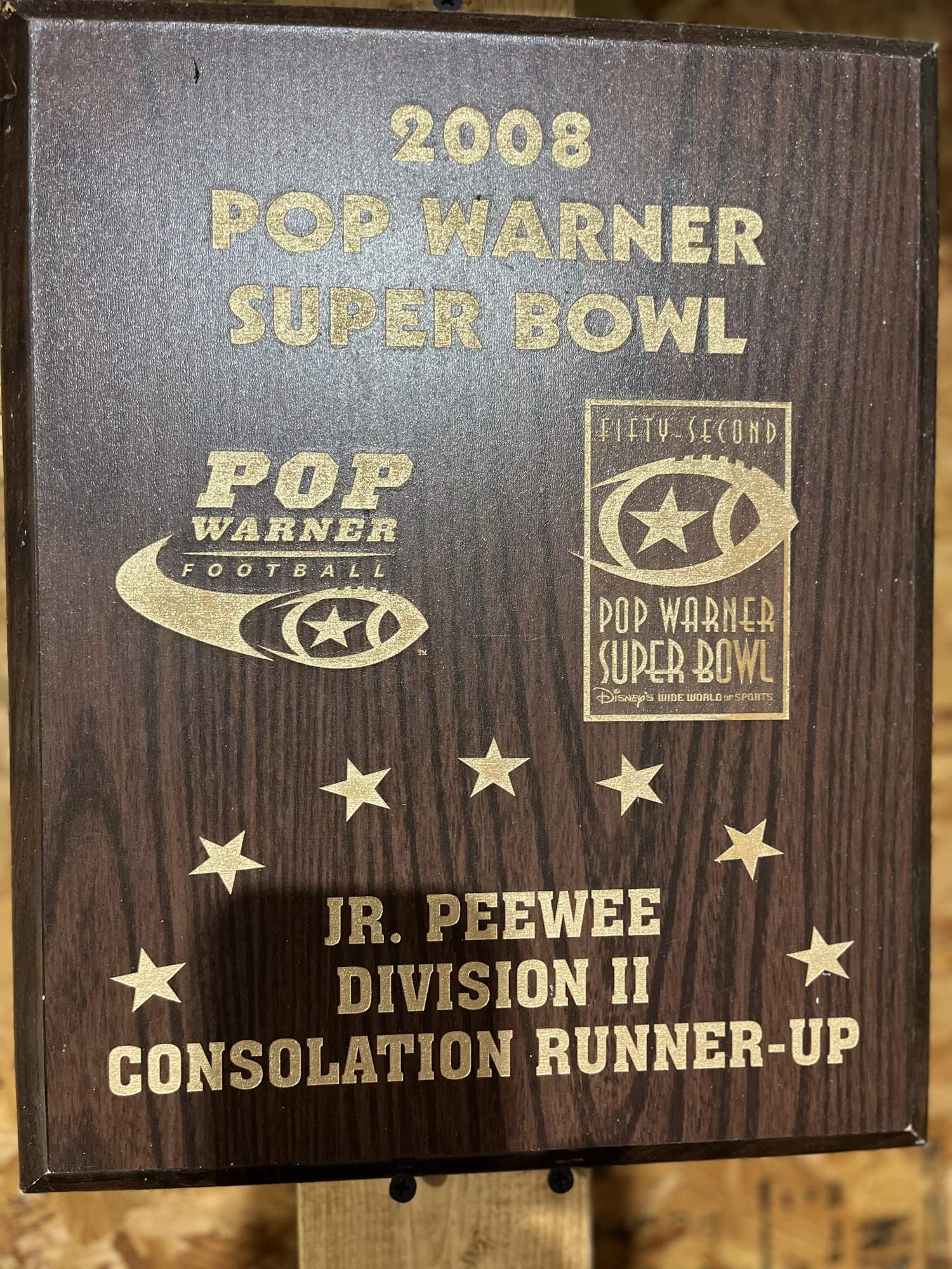 BJP PATRIOTS · 2008 · Super Bowl Era