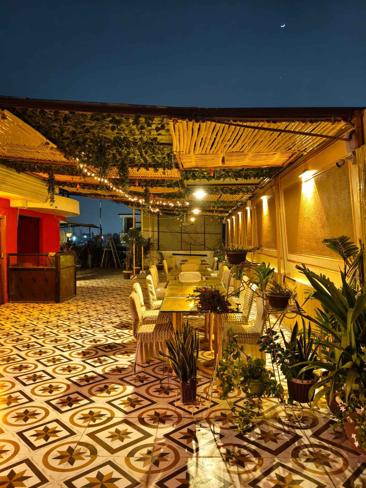 Rooftop garden restaurant with fairy lights and greenery in Patna