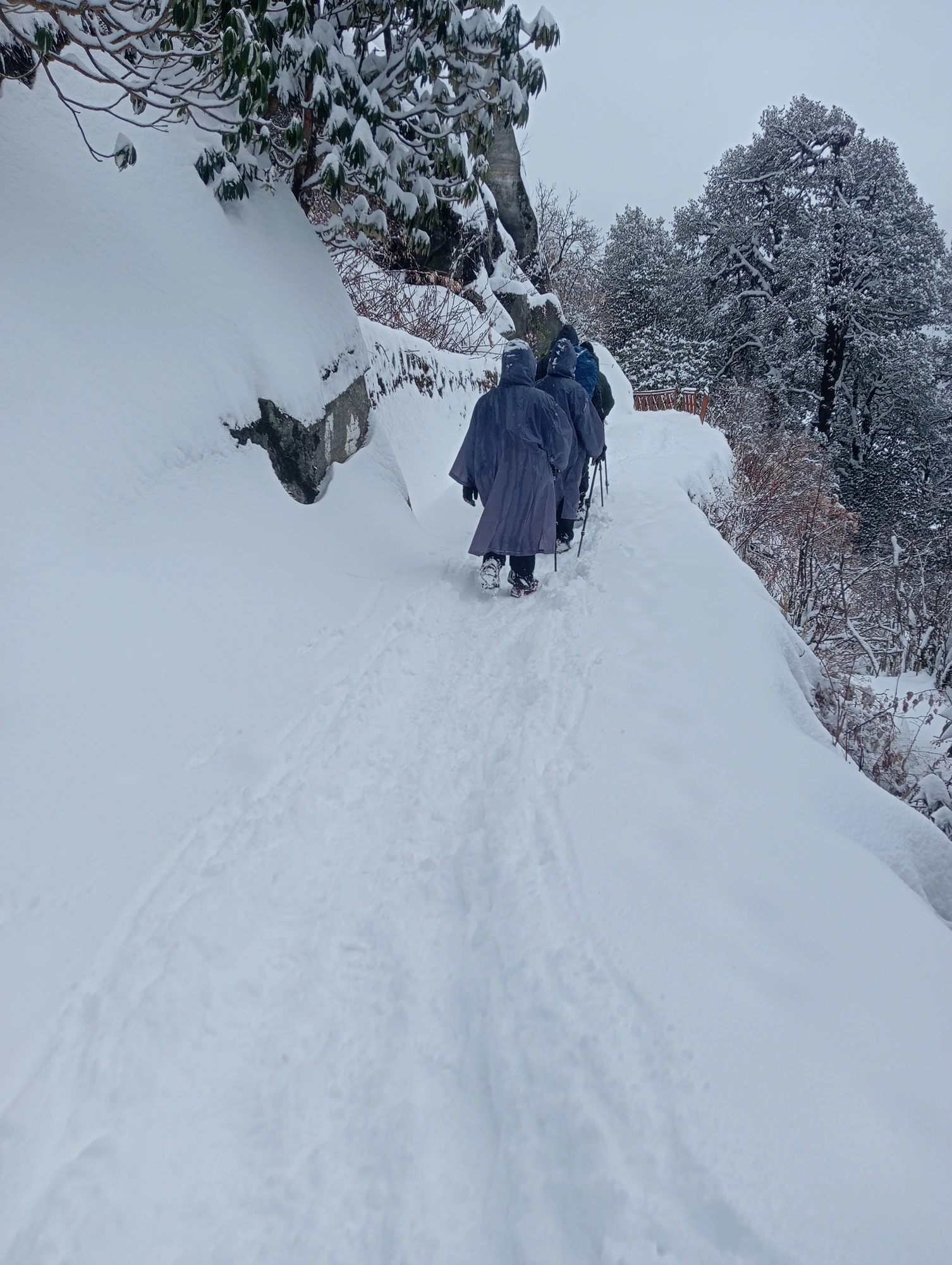 Snow